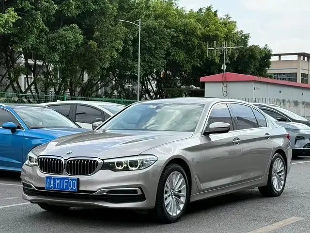 BMW 5 Series 2019 530Li Leading Luxury Package