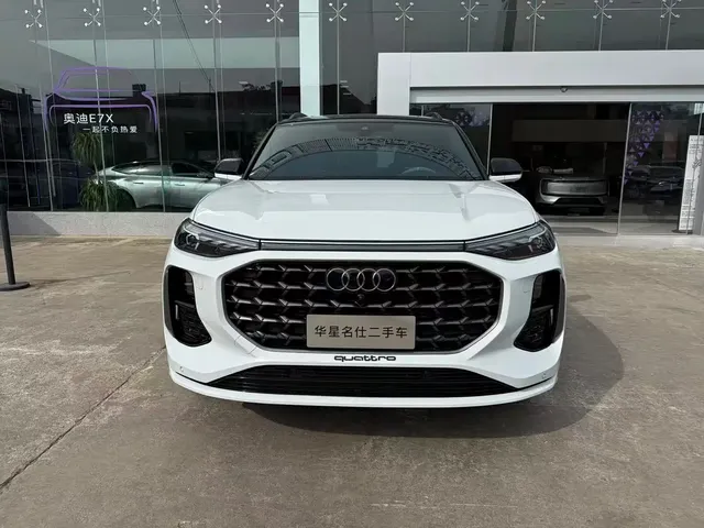 Audi Q6 2023 45 TFSI quattro Uniform Clouds Flying Rider Package