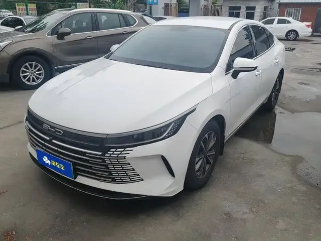 BYD Destroyer 05 2023 Champion Edition DM-i 55KM Luxury