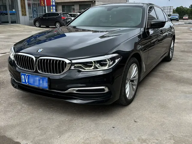 BMW 5 Series 2020 530Li Premium Luxury Package
