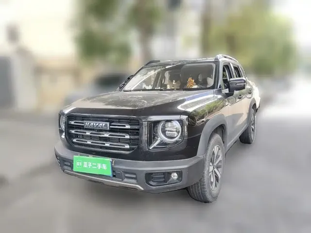 Haval Big Dog 2021 1.5T DCT 2WD Labrador Edition