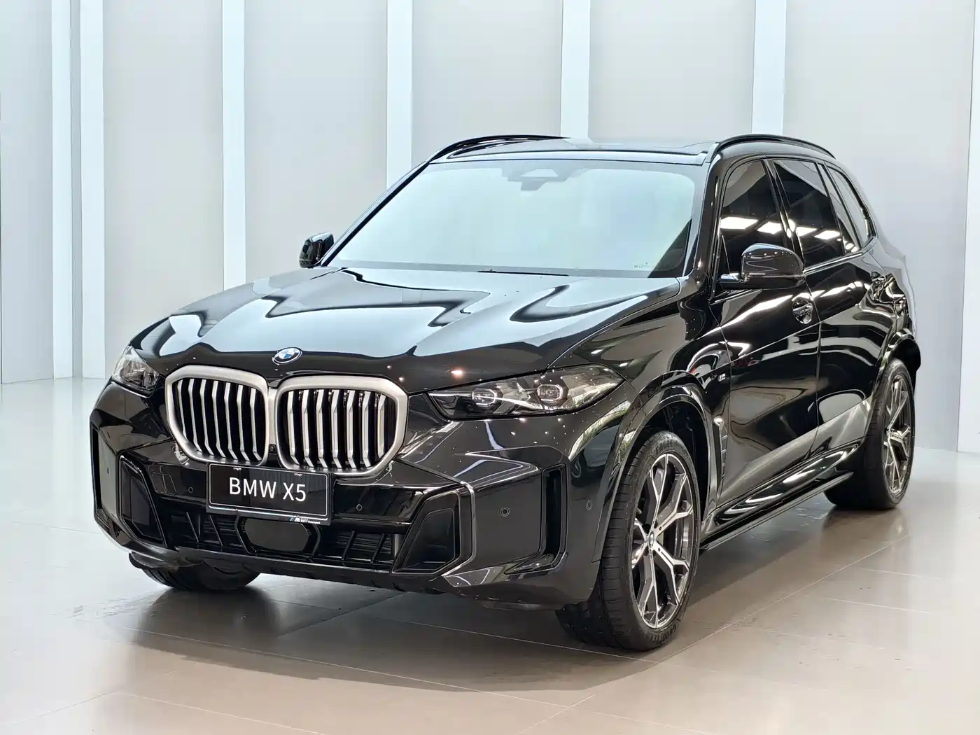 BMW X5 2023 xDrive 30Li Premium M Sport Black Night Package