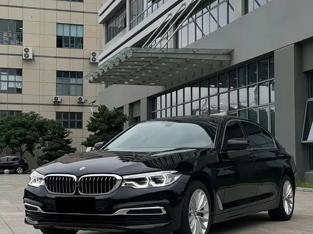 BMW 5 Series 2020 530Li Premium Luxury Package