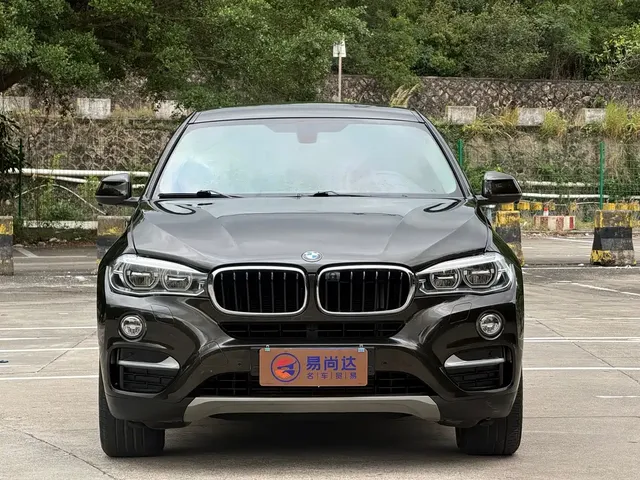 BMW X6 2015 xDrive35i Leading Type
