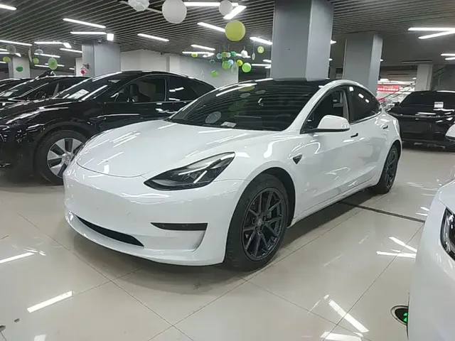 Tesla Model 3 2021 Facelift Standard Range RWD Upgrade 3D1
