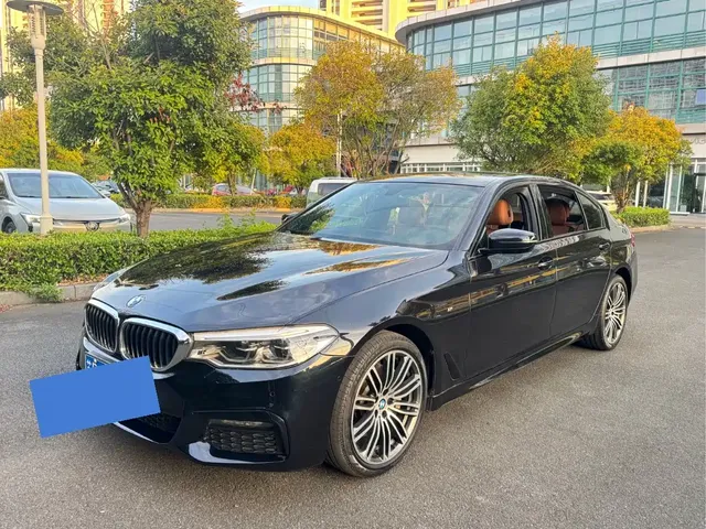 BMW 5 Series 2019 530Li Premium M Sport Package