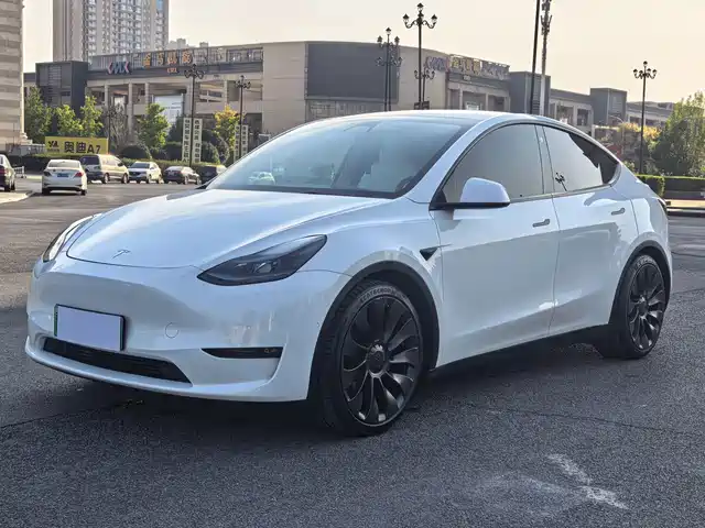 Tesla Model Y 2021 Performance High-Performance AWD