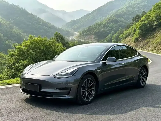 Tesla Model 3 2019 Standard Range Rear-Wheel Drive Upgrade