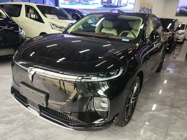 Voyah Auto Voyah Zhiyin 2025 Base