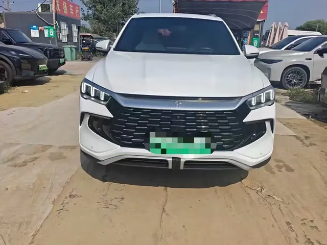 BYD Song Pro New Energy 2024 Glory Edition DM-i 71KM Pilot
