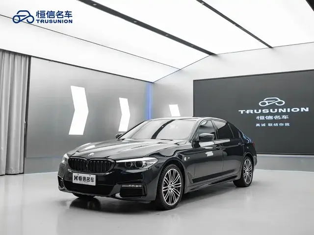 BMW 5 Series 2020 530Li Premium Luxury Package