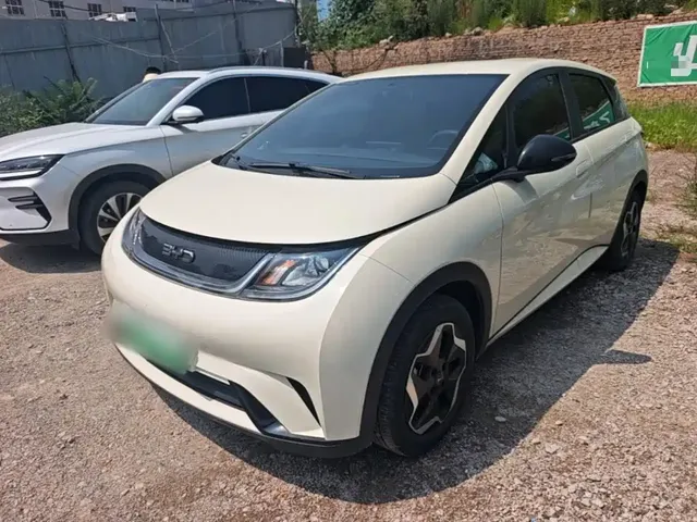 BYD Dolphin 2023 420km Freedom Edition