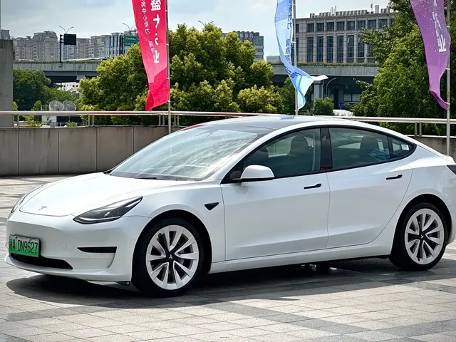 Tesla Model 3 2021 Standard Range Rear-Wheel Drive Upgrade 3D6