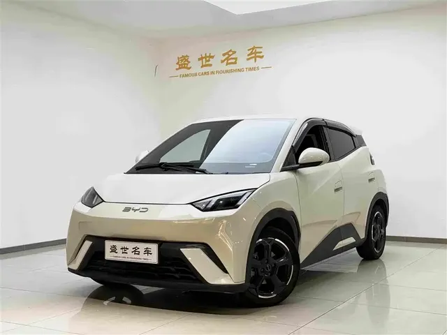 BYD Seagull 2025 305km Freedom