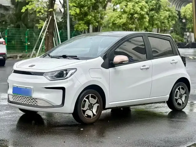 Sehol Flower Fairy 2021 302km Luxury 30.2kWh