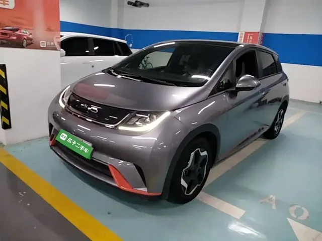 BYD Dolphin 2023 420km Freedom Edition