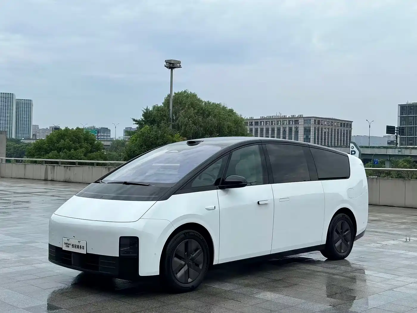 Li Auto MEGA 2025 Model Home Family Special Edition