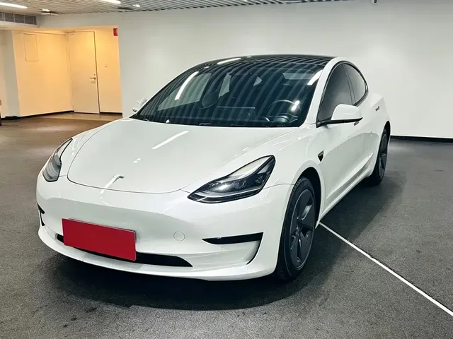 Tesla Model 3 2022 Model Rear-Wheel Drive Version