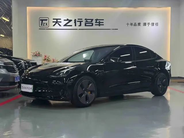 Tesla Model 3 2022 Model Rear-Wheel Drive Version