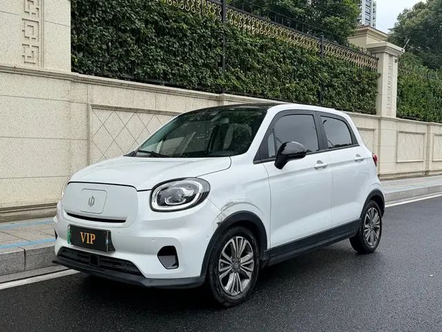 Leapmotor T03 2021 400 Luxury Edition