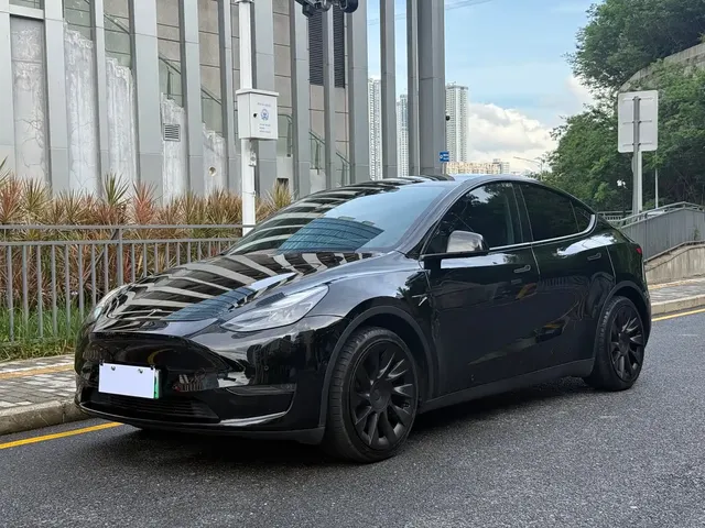 Tesla Model Y 2021 Standard Range Rear-Wheel Drive