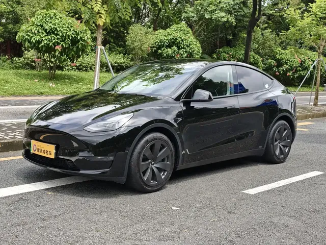 Tesla Model Y 2021 Standard Range Rear-Wheel Drive