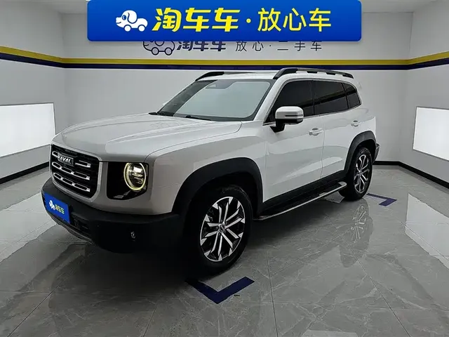 Haval Big Dog 2021 1.5T DCT 2WD Border Collie Edition