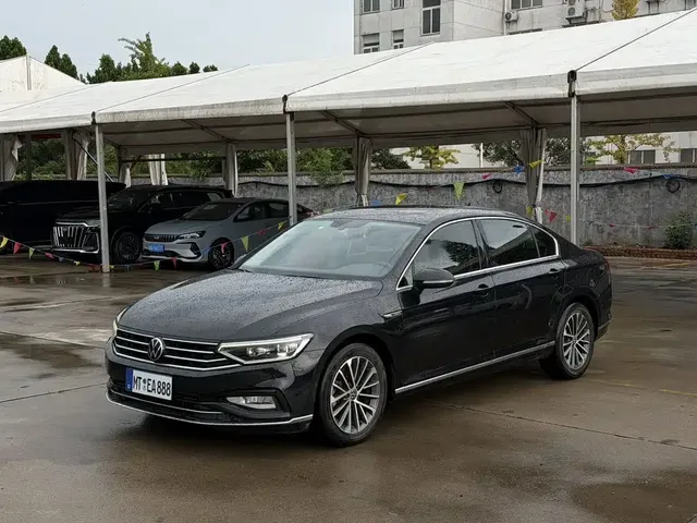 Volkswagen Magotan 2020 330TSI DSG Luxury