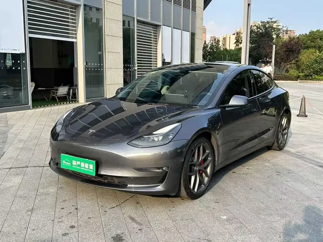 Tesla Model 3 2021 Performance High-Performance All-Wheel Drive