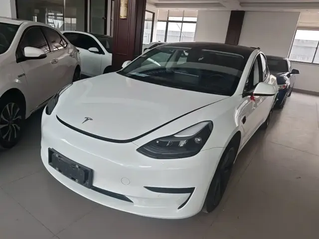 Tesla Model 3 2022 Model Rear-Wheel Drive Version