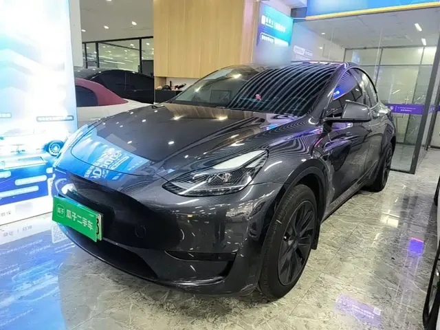 Tesla Model Y 2024 Rear-Wheel Drive Version