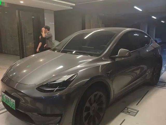 Tesla Model Y 2024 Rear-Wheel Drive Version