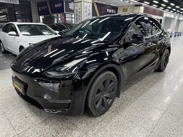 Tesla Model Y 2022 Rear-Wheel Drive Version