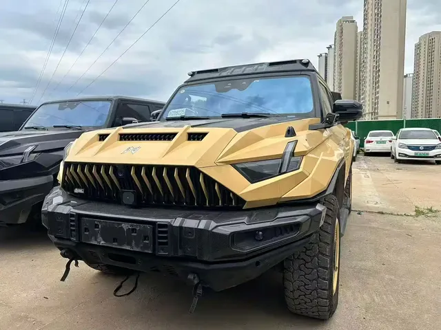 Mengshi 917 2024 Extended Range Jiaolong Armor