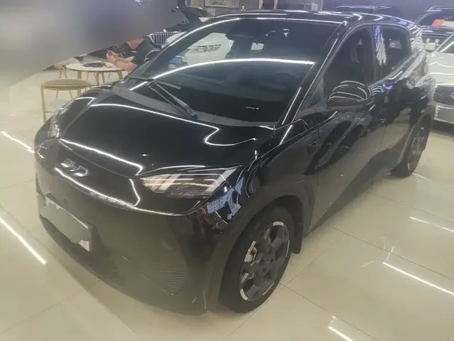 BYD Seagull 2025 Smart Driving Edition 405km Flying Edition