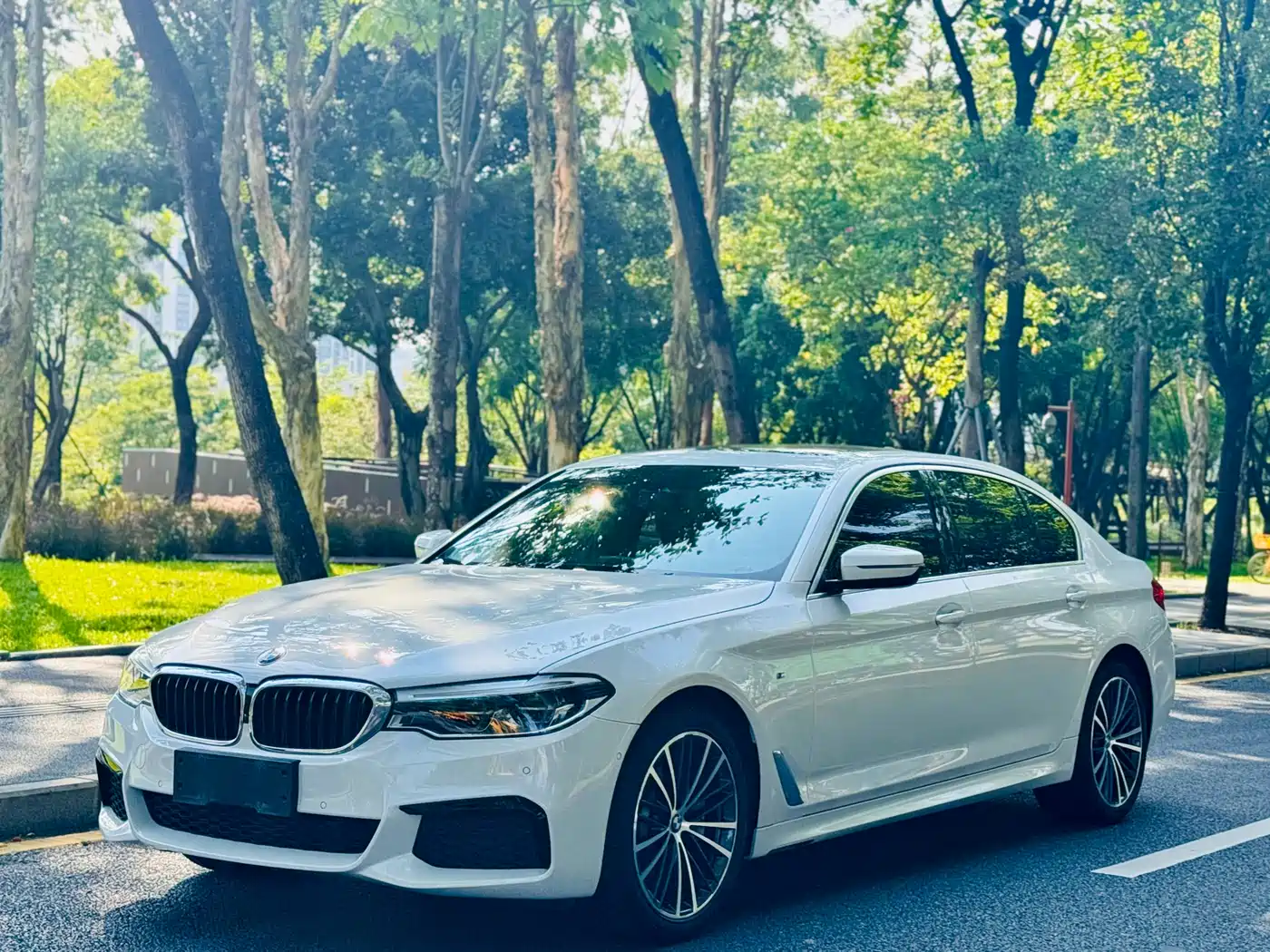 BMW 5 Series 2020 530Li Exclusive M Sport Package
