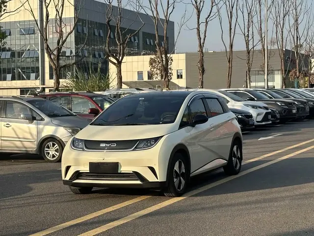 BYD Dolphin 2021 405km Freedom Edition
