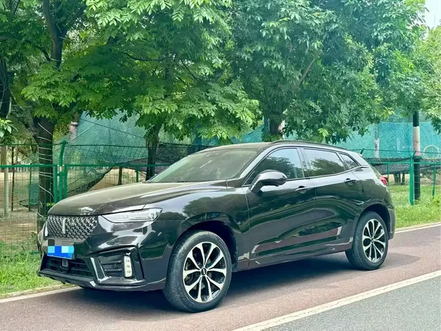 WEY VV7 2020 2.0T Super Luxury
