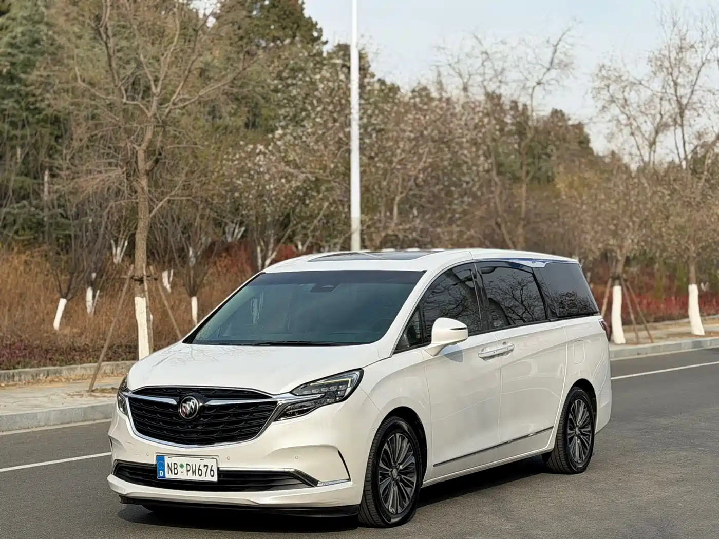 Buick GL8 2021 ES Landlord 653T Smart Flagship