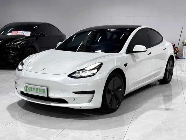 Tesla Model 3 2021 Standard Range Rear-Wheel Drive Upgrade 3D6
