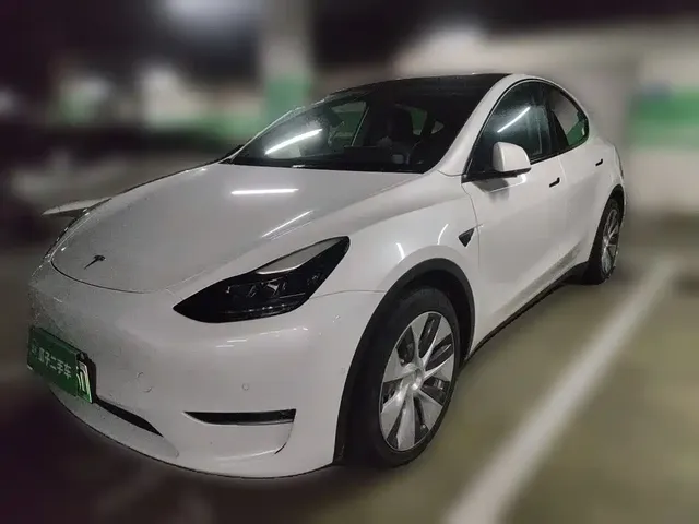 Tesla Model Y 2021 Standard Range Rear-Wheel Drive