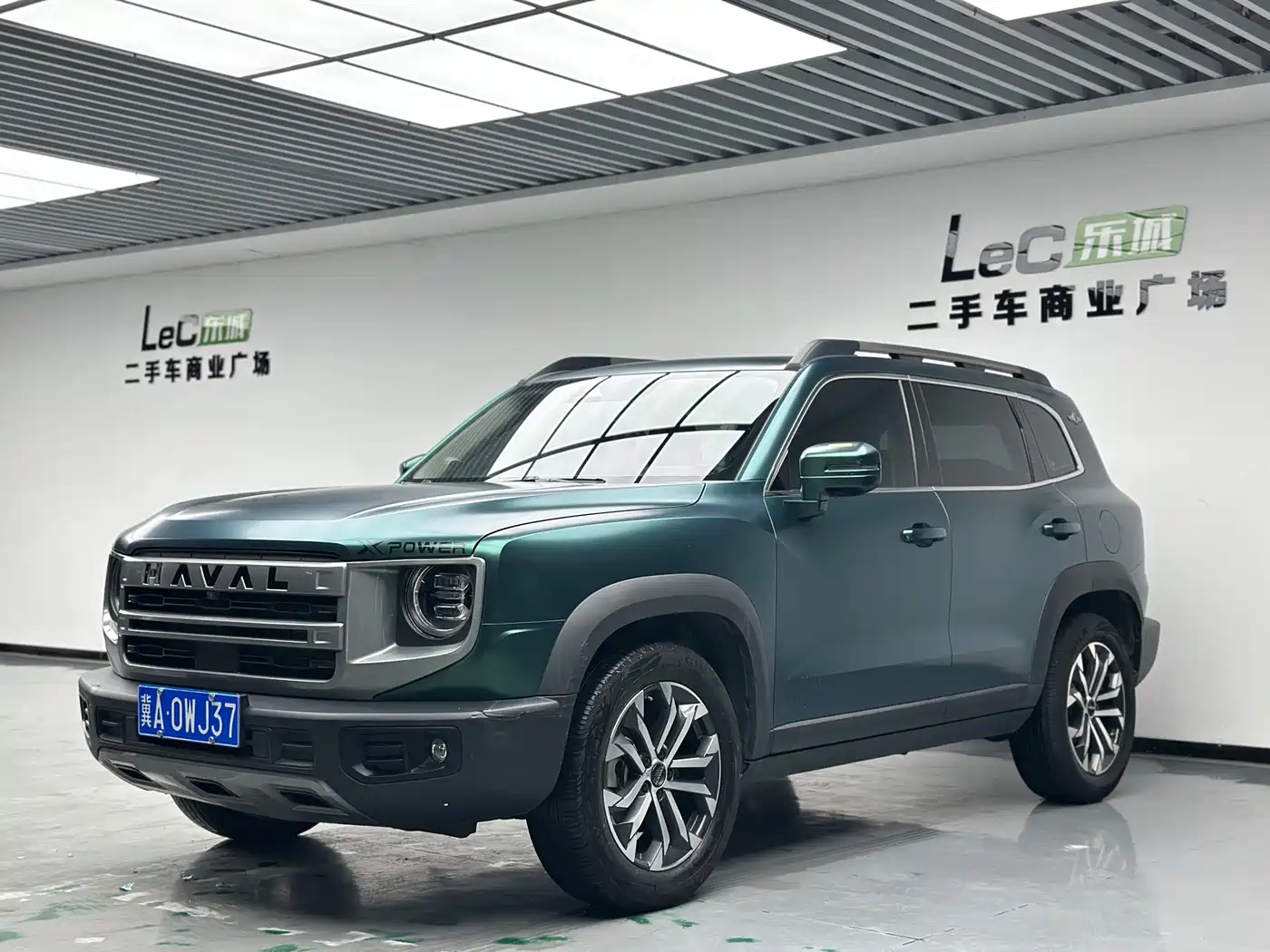 Haval Big Dog 2024 1.5T DCT Border Collie Edition