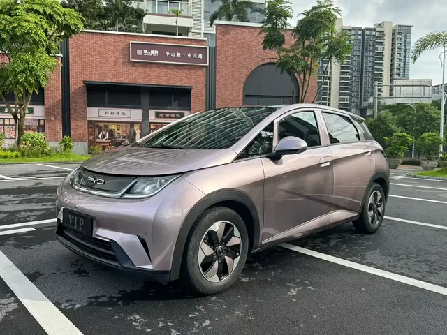 BYD Dolphin 2024 Glory Edition 420km Fashion Edition