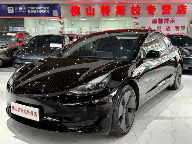Tesla Model 3 2022 Model Rear-Wheel Drive Version
