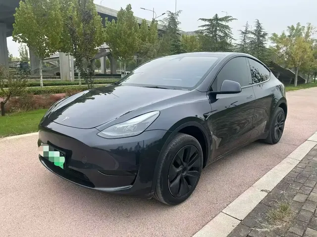 Tesla Model Y 2024 Rear-Wheel Drive Version