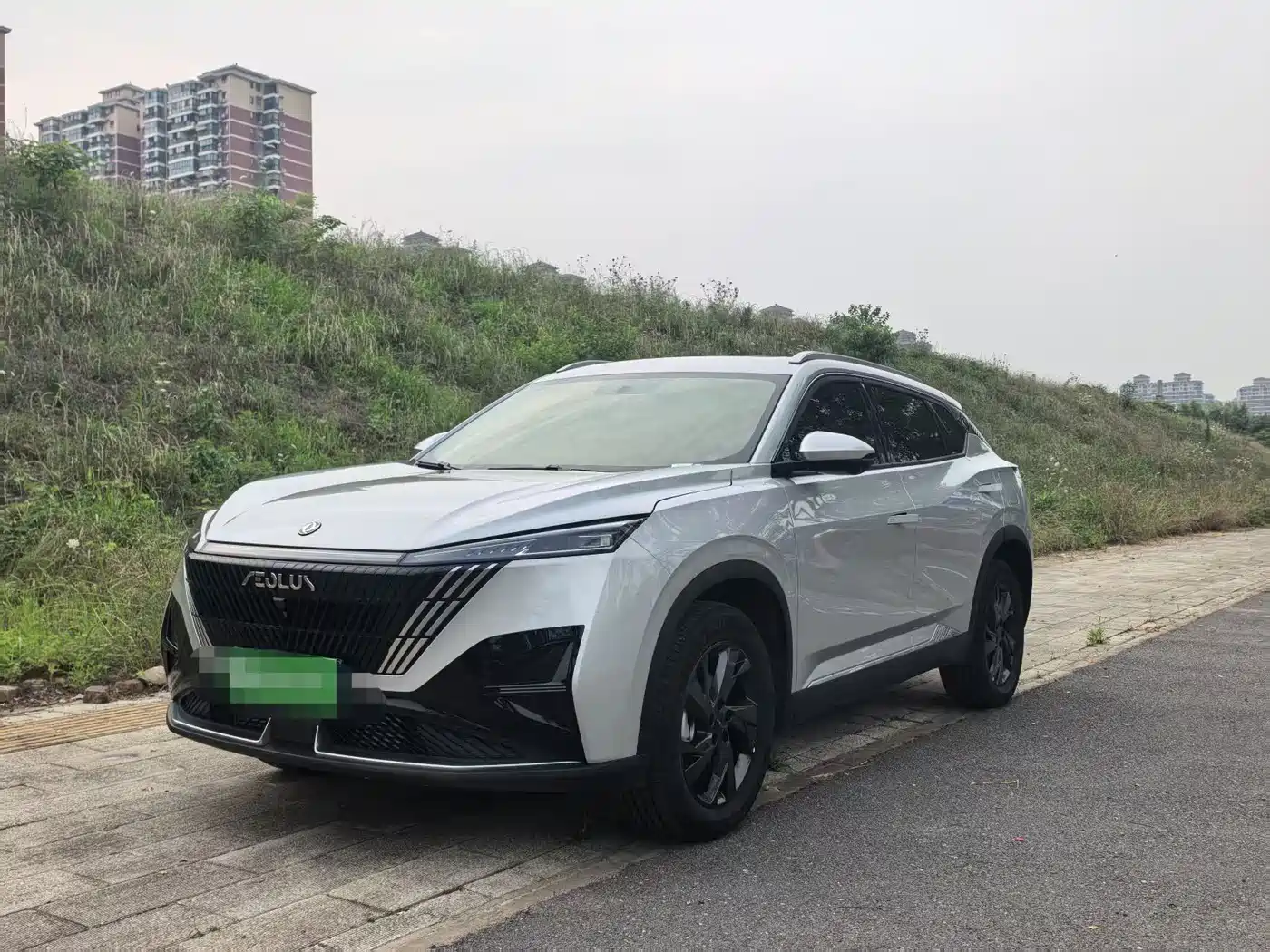 Dongfeng Aeolus Haohan 2024 Glory Edition 1.5T Luxury
