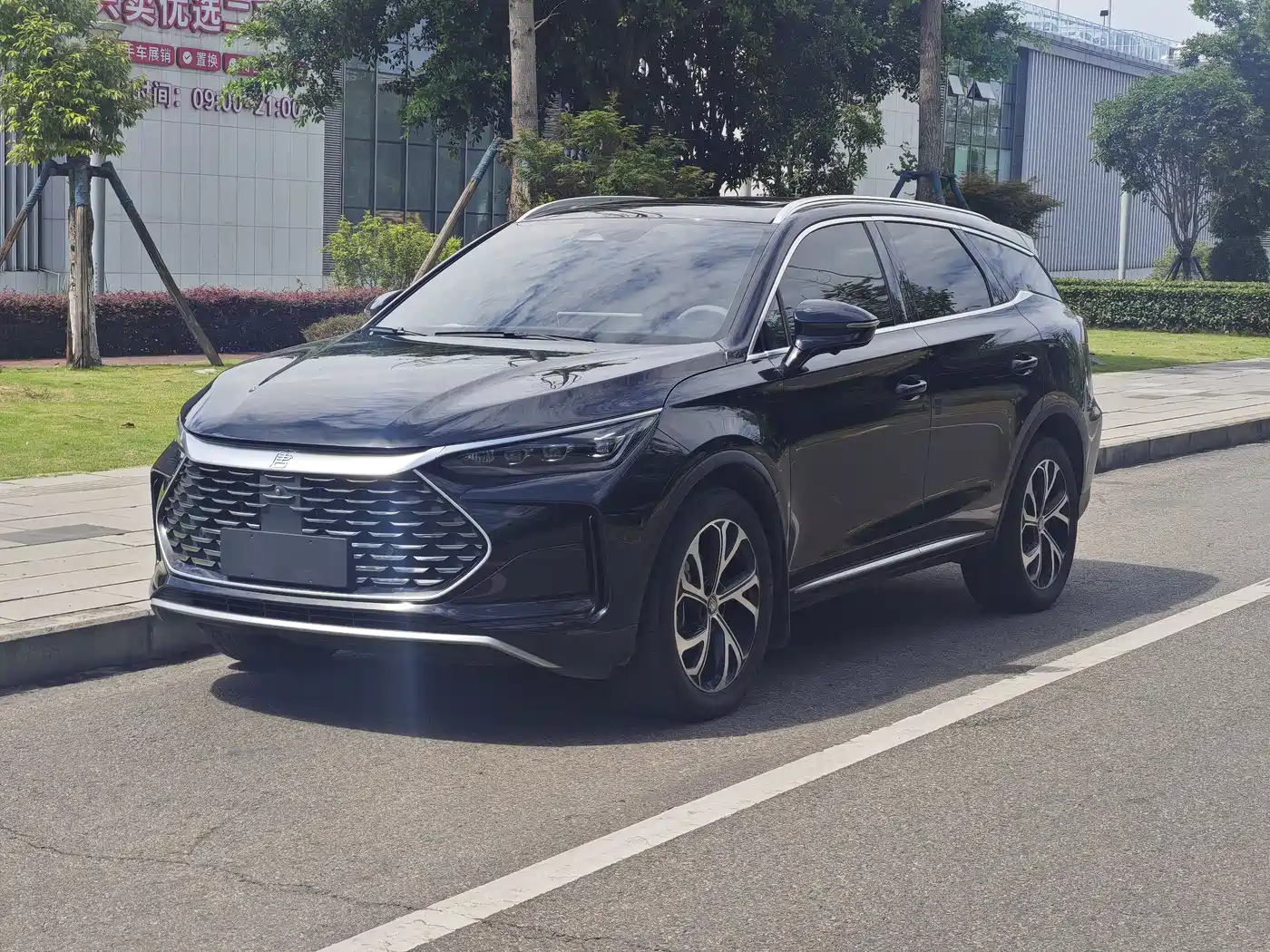 BYD Tang New Energy 2025 DM-i 115KM Flagship