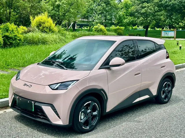 BYD Seagull 2024 Glory Edition 405km Soaring Edition