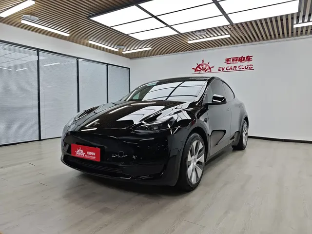 Tesla Model Y 2022 Rear-Wheel Drive Version