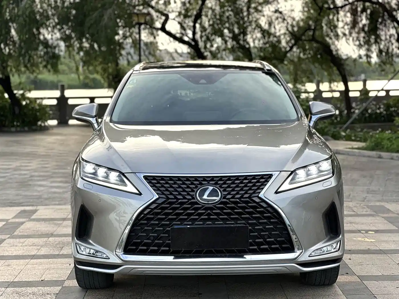 Lexus RX 2020 Facelift 300 AWD Elegance Edition